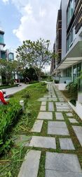 Sunrise Avenue (D28), Terrace #485427511